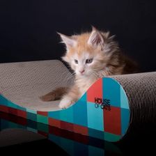 Zdjęcie House Of Cats Sofa Cube 80 - Krapkowice