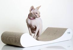 Zdjęcie House Of Cats Sofa White 83 - Krapkowice
