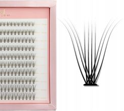 Zdjęcie Manybeauty Master Box 10D Kępki Rzęs Do Makijażu 8-14Mm C - Zakopane