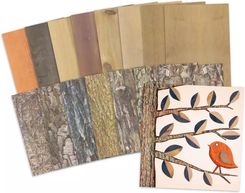 Zdjęcie Rolf Education Dopasowywanie Kory I Słoje Drzew - Głubczyce