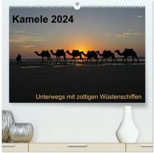Kamele 2024 Unterwegs mit zottigen Wüstenschiffen (hochwertiger