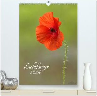 Lichtfänger (hochwertiger Premium Wandkalender 2024 DIN A2 hoch 