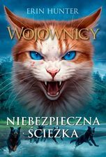 Zdjęcie Niebezpieczna ścieżka. Wojownicy. Tom 5 - Toruń