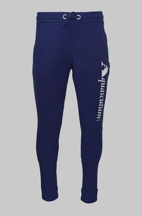 Dresowe spodnie marki Aquascutum model FPIA38 kolor Niebieski. Odzież Męskie. Sezon: Jesień/Zima