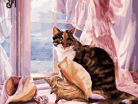 Malowanie Po Numerach Kot Kotek Z Ramą 40X50 Obraz Zwierzęta