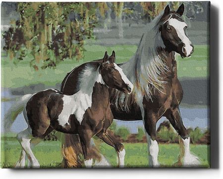 Oh Art! Art|Malowanie Po Numerach Na Ramie 40X50 Konie Gx33018 Zwierzęta