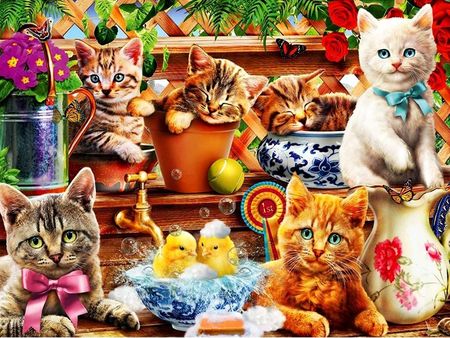 Malowanie Po Numerach Kot Kotki Obraz Z Ramą 40X50 Zwierzęta