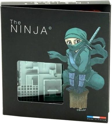 IUVI Games Inside 3 The Ninja