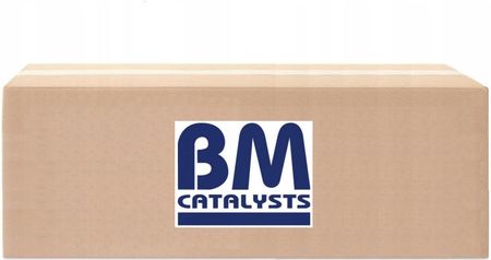 Bm Catalysts Katalizator Bm92289H