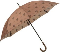 Zdjęcie Fresk Parasolka Lew - Tarnowskie Góry