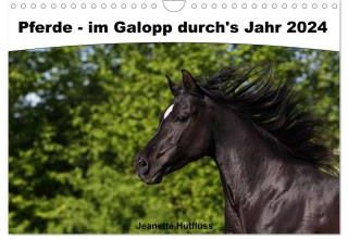 Pferdegeflüster - Der Pferdekalender - 2024 - Kalender DIN A3 - View #6