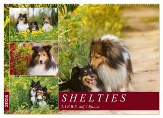 Von der Einzigartigkeit der Hühner 2026 (Wandkalender 2026 DIN A2 quer