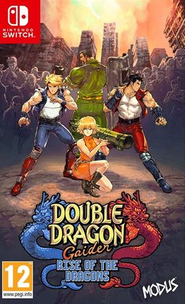 Double Dragon Gaiden Rise of the Dragons (Gra NS)