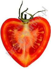 Pomidor Oxheart - Bawole Serce - zdjęcie 1