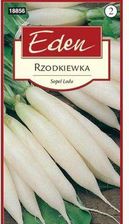Zdjęcie Rzodkiewka Sopel Lodu - Dobre Miasto