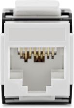 Securitynet Moduł Rj45 Keystone Kat 6A Utp Beznarzędziowy Ccas-K6A-Utp-Tl