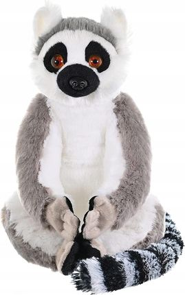 Wild Republic Lemur Z Pierścieniem Ogonem Pluszowa