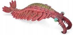 Zdjęcie Collecta Anomalocaris - Zielona Góra