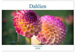 Kalender Naturliebe Hühner 2026, 5,99