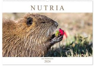 NUTRIA mit Nachwuchs (Wandkalender 2024 DIN A2 quer), CALVENDO Monatskalender