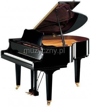 Yamaha GC 1 M PE Baby Grand