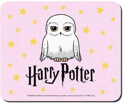 Ert Group Harry Potter 240 (WMPHARRY261)