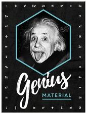 Zdjęcie Nostalgic Art Magnes Einstein Genius Material - Szprotawa