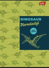 Zdjęcie Zeszyt A5 16K krata DINOSAUR PAKIET 15szt. - Gryfice