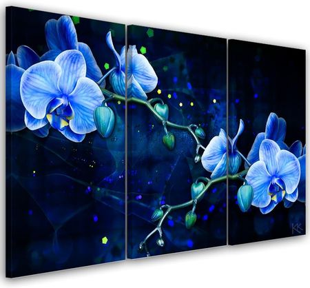 Feeby Obraz Trzyczęściowy Na Płótnie Niebieski Kwiat Orchidei 90X60