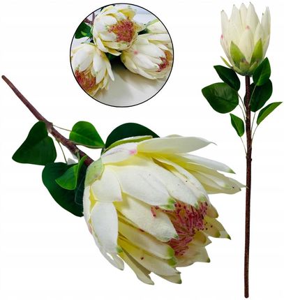 Inspiruj Protea Sztuczne Kwiaty Do Wazonu Trawa Pampasowa