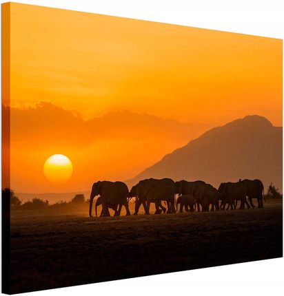 Pyramid International Obraz Na Płótnie Amboseli Sunset 80X60 Cm