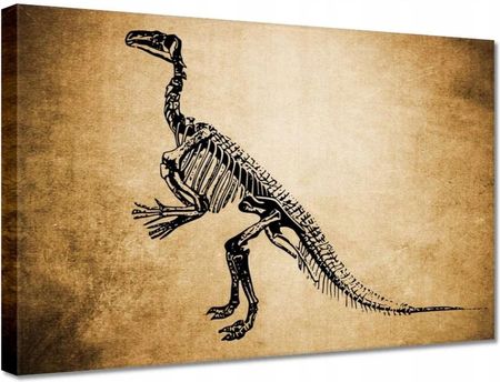 Obrazy 30X20 Dinozaur Prehistoria Dino