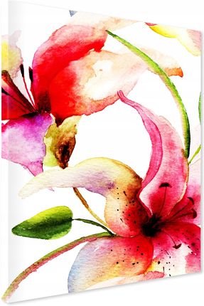 Printedwall Obraz Na Płótnie Kwiaty Akwarela 50X70