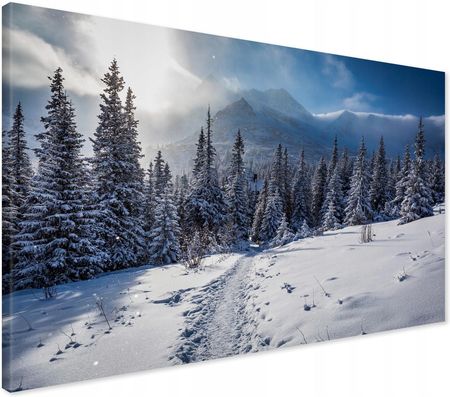 Printedwall Obraz Na Płótnie Góry Zima Las 100X70