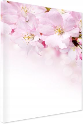 Printedwall Obraz Na Płótnie Kwiaty Kwitnącej Wiśni 50X70