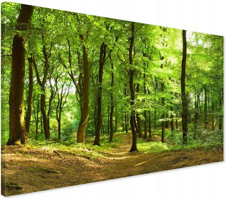 Printedwall Obraz Na Płótnie Las Drzewa 100X70