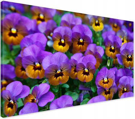 Printedwall Obraz Na Płótnie Kwiat Kwiaty Natura 100X70