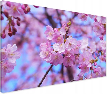 Printedwall Obraz Na Płótnie Kwiat Kwiaty 100X70