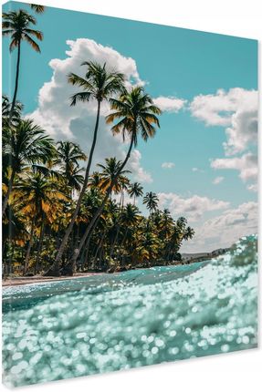 Printedwall Obraz Na Płótnie Plaża Palmy Hawaje 50X70