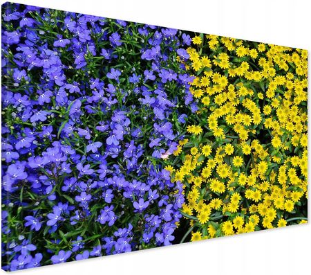 Printedwall Obraz Na Płótnie Kwiat Kwiaty Ogród 100X70