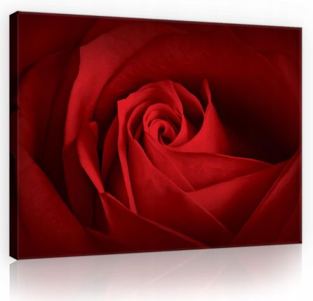 Wallarena Obraz Do Sypialni Kwiaty Czerwona Róża 3D 100X70