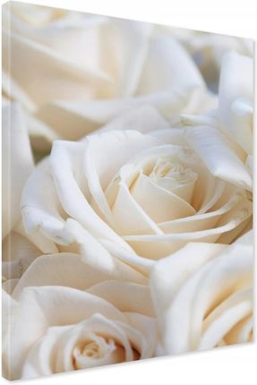 Printedwall Obraz Na Płótnie Białe Róże Kwiaty 50X70