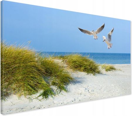 Printedwall Obraz Na Płótnie Mewy Plaża Morze 120X80