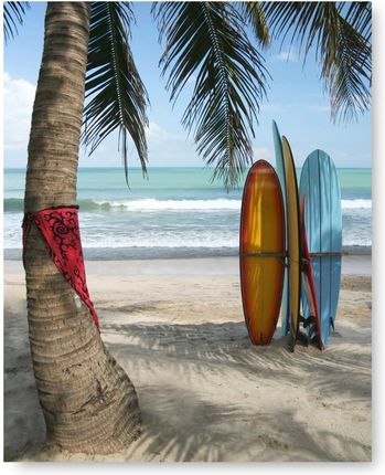 Kmbpress Plaża Palma Surfing Plakat Obraz 40X50 Cm #118
