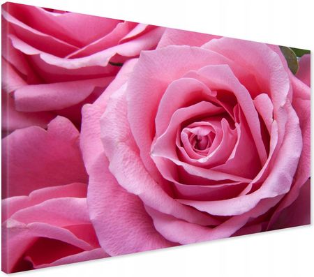 Printedwall Obraz Na Płótnie Róża Kwiat Kwiaty 100X70