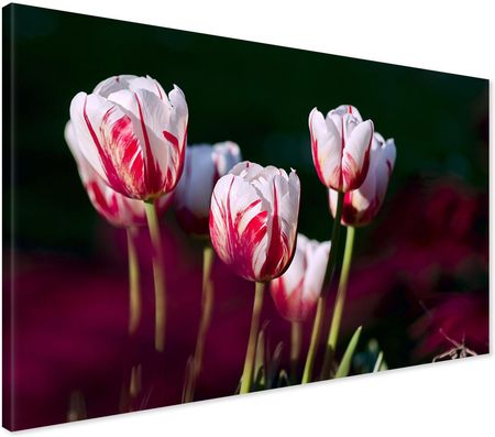 Printedwall Obraz Na Płótnie Kwiat Kwiaty Natura 100X70
