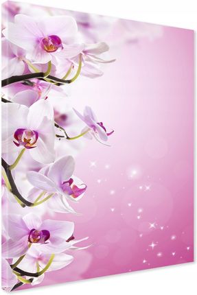 Printedwall Obraz Na Płótnie Kwiaty Orchidea Spa 50X70