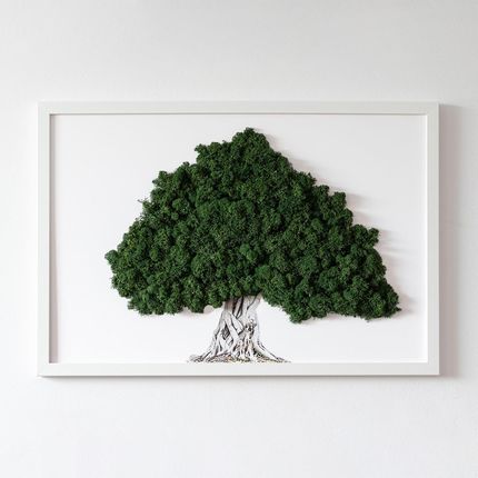 Tulup Obraz Mech Drzewo Z Korzeniami Na Białym Tle 60X40