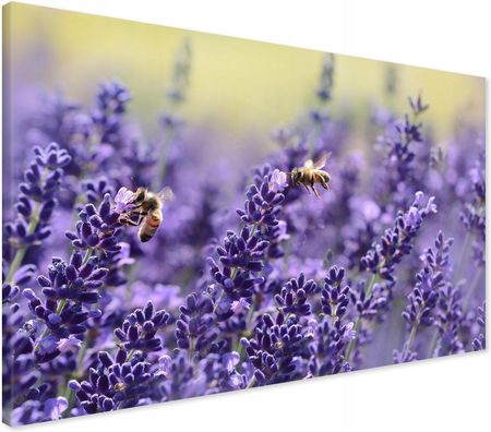 Printedwall Obraz Na Płótnie Lawenda Kwiat Kwiaty 120X80