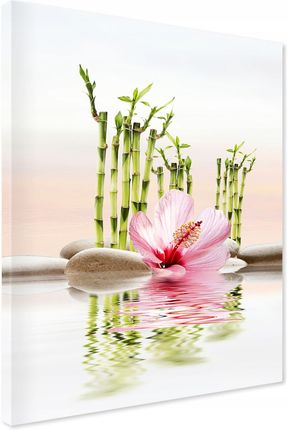 Printedwall Obraz Na Płótnie Spa Bambus Kwiat 50X70